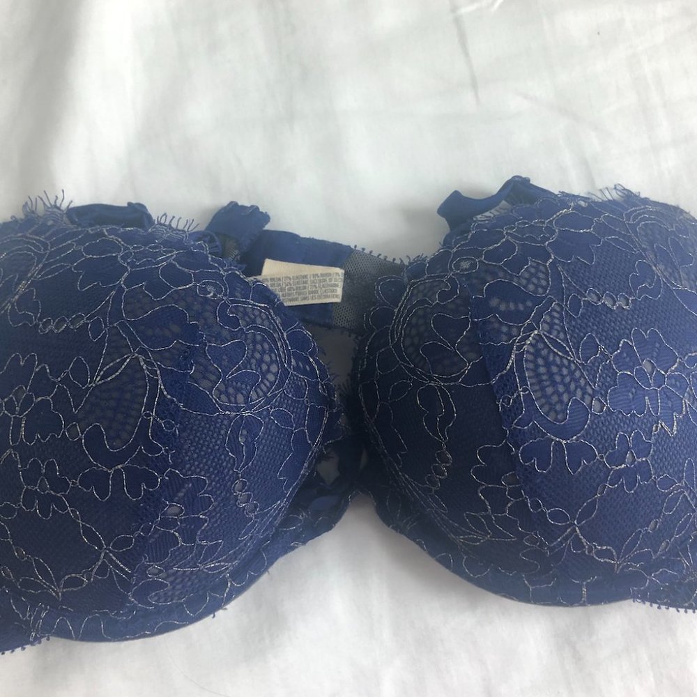 Sexy blue aerie plunge pushup bra